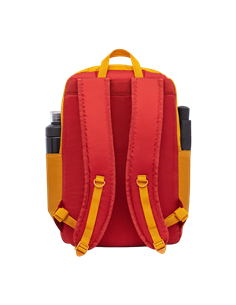 Rucsac Rivacase Mestalla, 15.6", Auriu 2