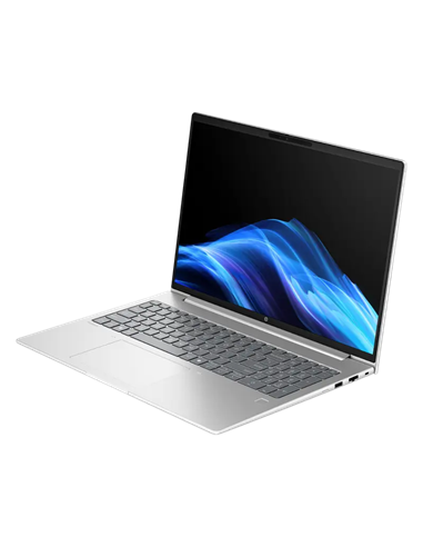 Laptop Business 16" HP ProBook 4 G1i 16, Pike Silver, Intel Core Ultra 7 255H, 24GB/1024GB, FreeDOS