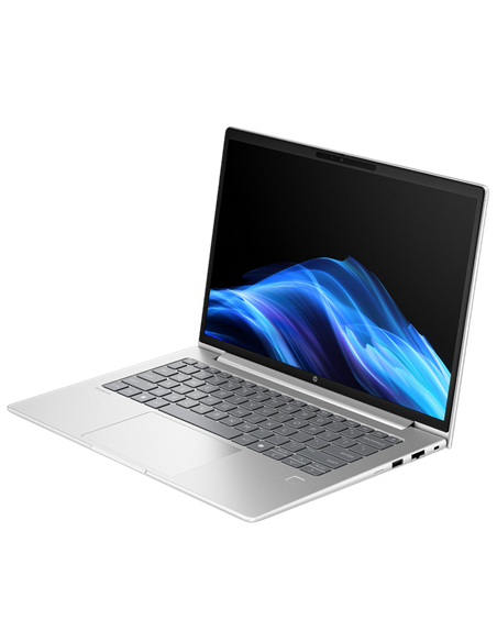Laptop Business 14" HP ProBook 4 G1a 14, Pike Silver, AMD Ryzen 5 230, 16GB/512GB, FreeDOS Laptop Business 14" HP ProBook 4 G1a 14, Pike Silver, AMD Ryzen 5 230, 16GB/512GB, FreeDOS