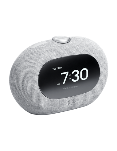 Difuzor Bluetooth JBL Horizon 3, Gri