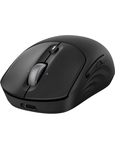 Мышь HP 700 Rechargeable, Чёрный