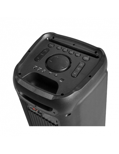 Boxă portabilă BLAUPUNKT PB12DB, Negru