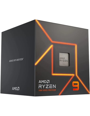 Процессор AMD Ryzen 9 7900 / AM5 / 12C/24T / Retail (without cooler)