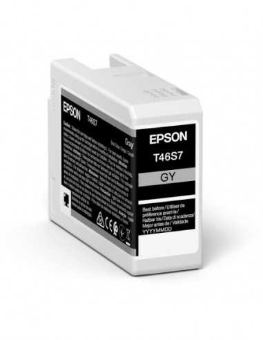 Cartuș de cerneală Epson Ink Cartridge Epson T46S7 UltraChrome PRO 10 Ink- Gray- C13T46S700