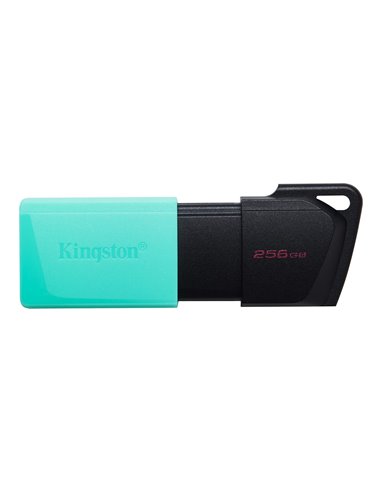 Флеш-накопитель USB Kingston DataTraveler Exodia M 256ГБ / Black/Mint