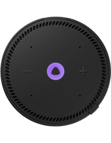 Умная колонка Yandex Station MINI / with Alisa / 10W / Black