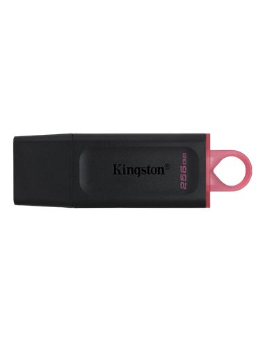 USB Flash накопитель Kingston DataTraveler Exodia, 256Гб, Чёрный