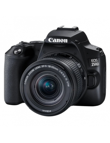 Цифровые зеркальные фотоаппараты DC Canon EOS 250D + EF-S 18-55mm f3.5-5.6 III