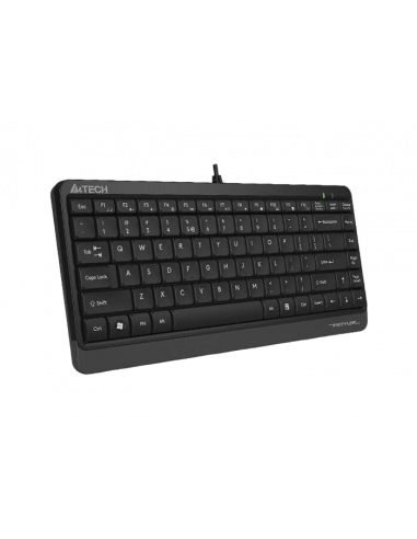 Tastaturi A4Tech Keyboard A4Tech FK11, Compact, 12Fn Keys, Laser Engraving, Splash Proof, USB, 1.5m, ENRURO, BlackGrey