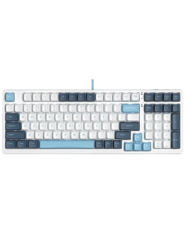 Tastatură A4Tech FS300, Cu fir, Panda Snowboarding