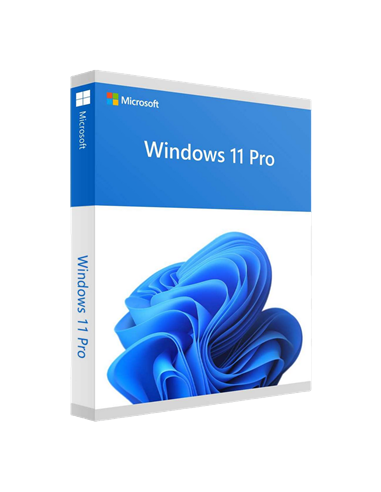 Sistem de operare Windows HOME FPP 11 64BIT ENG INTL