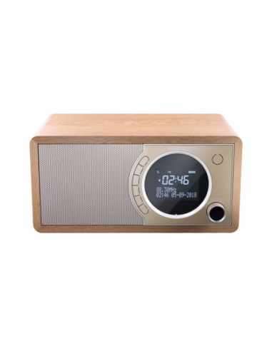 Boxe portabile radio cu ceas Sharp DR-450BRV03, Portable Digital Radio