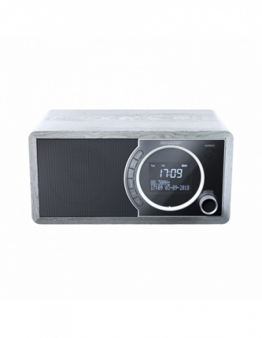 Boxe portabile radio cu ceas Sharp DR-450GRV02, Portable Digital Radio