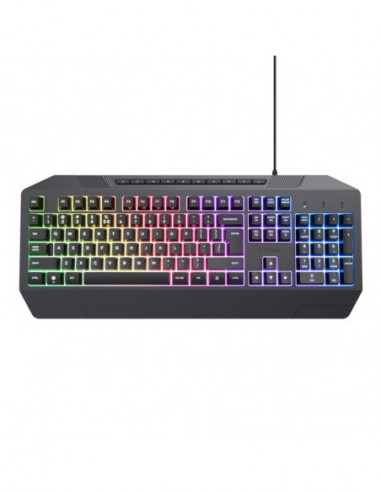 Tastaturi Trust Trust Gaming GXT 836 EVOCX Illuminated Keyboard- rainbow wave RGB and soft-touch keys- 25 Key Anti-Ghosting- 12