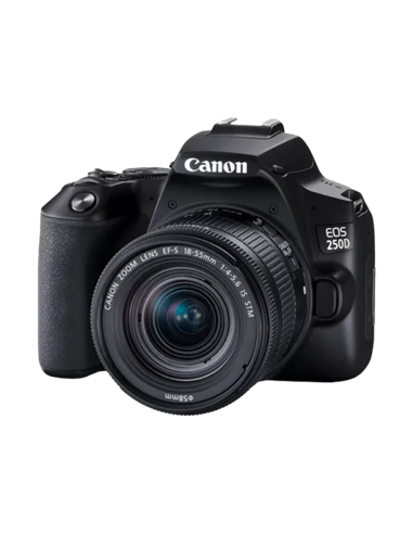 Aparat foto DSLR Canon EOS 250D & EF-S 18-55mm f/3.5-5.6 IS STM KIT