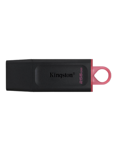 USB Flash накопитель Kingston DataTraveler Exodia, 256Гб, Чёрный