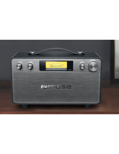 Беспроводные колонки для дома MUSE M-670 BT, Чёрный