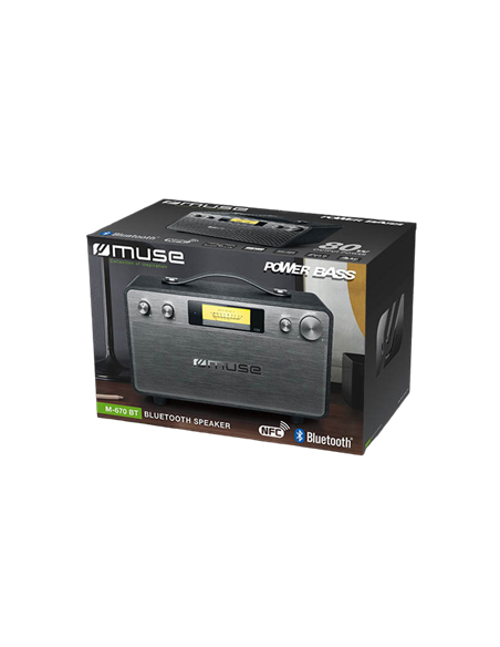 Беспроводные колонки для дома MUSE M-670 BT, Чёрный
