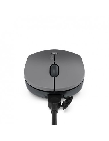 Mouse Lenovo GY51C21211, Gri