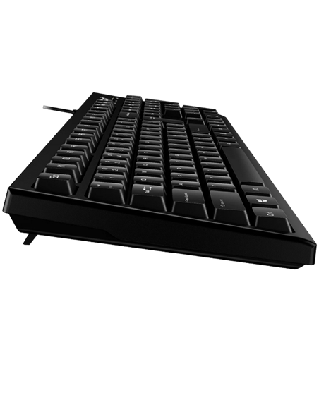 Клавиатура Genius KB-100XP, Проводное, Чёрный