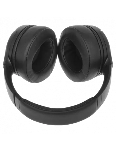 Наушники Panasonic RB-M300BGE, Чёрный