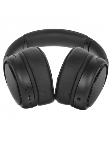 Наушники Panasonic RB-M300BGE, Чёрный