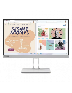 23,8" Монитор Lenovo L24e-40, VA 1920x1080 FHD, Storm Gray