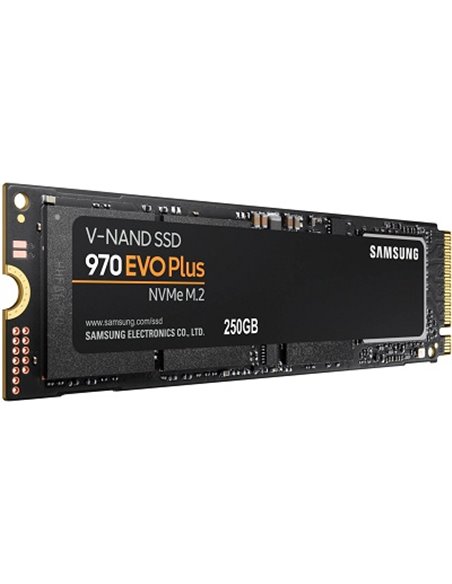 M.2 NVMe SSD Samsung 970 EVO Plus 250GB (MZ-V7S250BW)