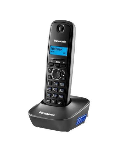 Радиотелефон Panasonic KX-TG1611, Серый