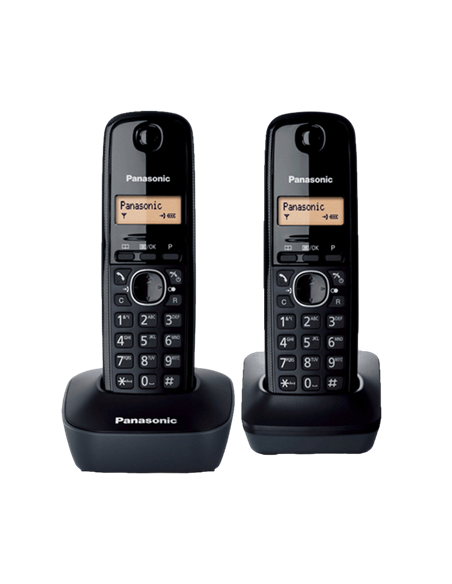 Telefon DECT Panasonic KX-TG1612, Gri