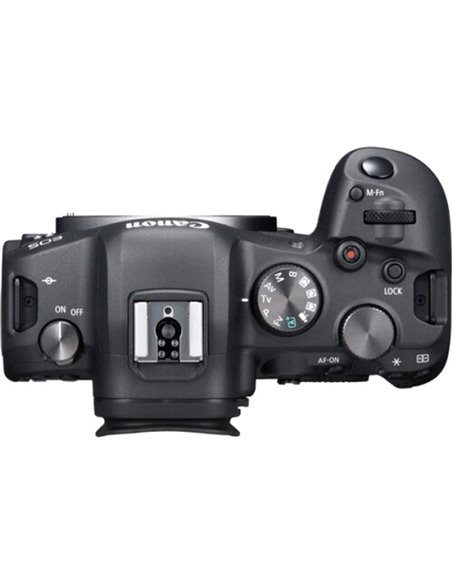 Mirrorless Camera CANON EOS R6 Body (4082C044)