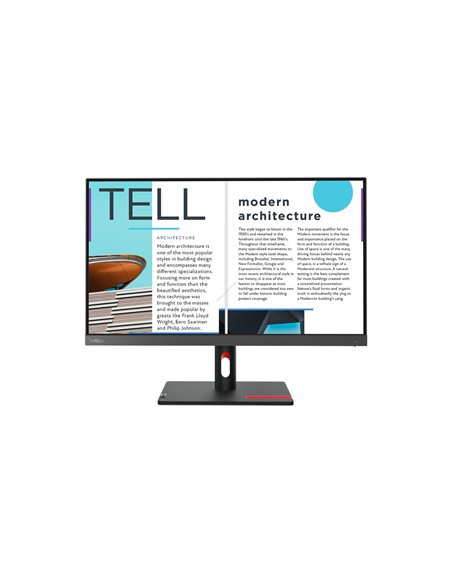 24.5” Монитор Lenovo ThinkVision S25e-30 / 4ms / Black