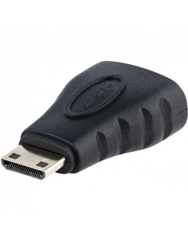 Видеоадаптер APC Electronic APC-101302, mini HDMI (M) - HDMI (F), Чёрный