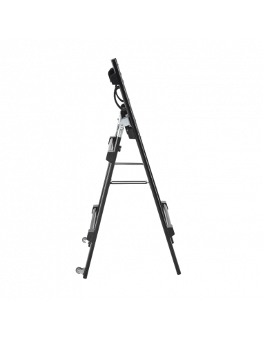 Suport pentru TV pe picior Reflecta TV Stand 55DS, Negru