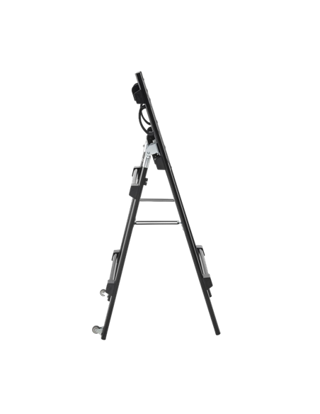 Suport pentru TV pe picior Reflecta TV Stand 55DS, Negru