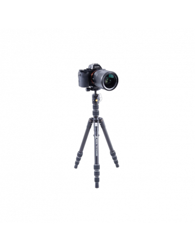Tripied Foto-Video Vanguard VESTA TB 204ABS, Cap trepied de minge, Negru