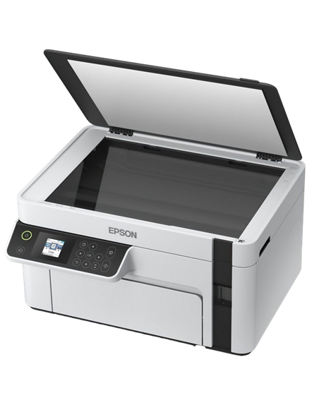 Струйный МФУ Epson M2120, Серый