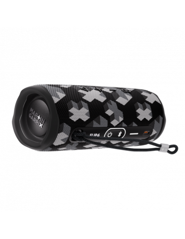 Boxă portabilă JBL Flip 6, Martin Garrix