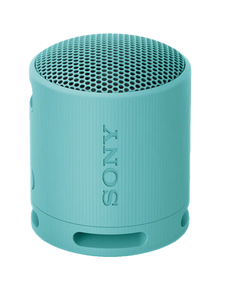 Boxă portabilă SONY XB100, Gri deschis