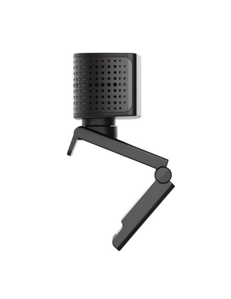 Trust Teza 4K Ultra HD Webcam, Advanced 4K Ultra HD webcam with a 74° field of view, 30 fps, two stereo integrated microphone...