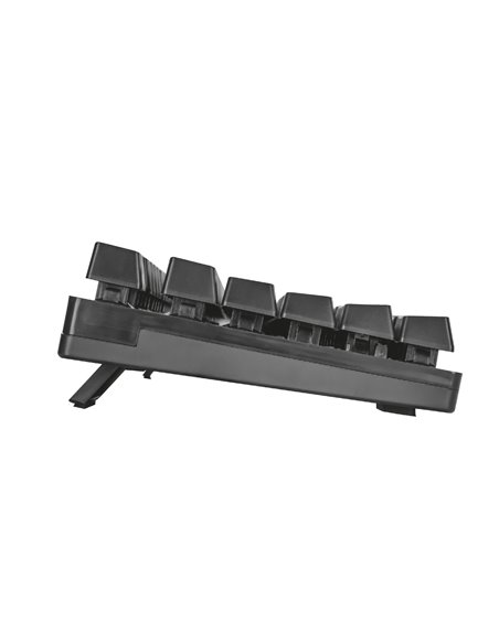 Trust Gaming GXT 835, Full size gaming keyboard with rainbow wave illumination, Backlight (RGB), US, 1.8m, USB, Black