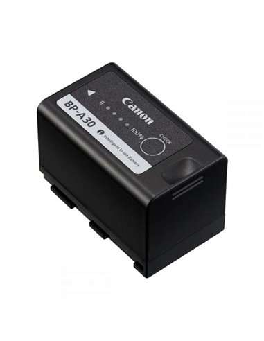 Battery Pack Canon BP-A30 (0868C002)