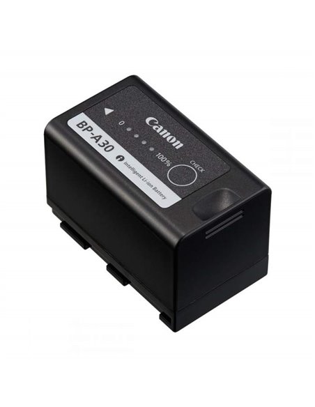 Battery Pack Canon BP-A30 (0868C002)