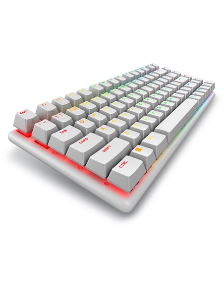 Tastatura Gaming Wireless DELL Alienware Pro / Lunar Light