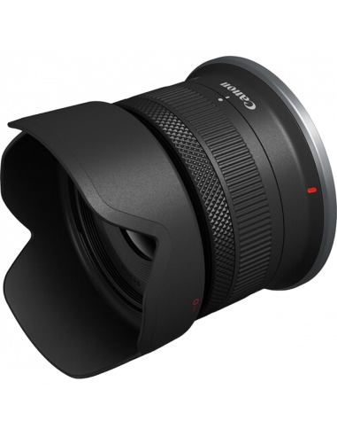 Беззеркальный фотоаппарат Canon EOS R10 & RF-S 18-45mm f/4.5-6.3 IS STM KIT