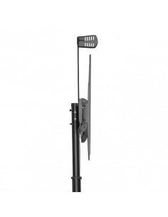 Suport pentru TV pe picior Gembird TVS-100T-02, Negru 2