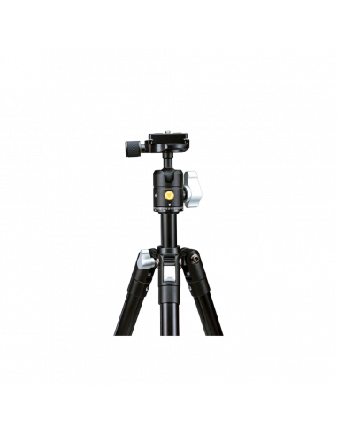 Tripied Foto-Video Vanguard VESTA FB 204ABS, Cap trepied de minge, Negru
