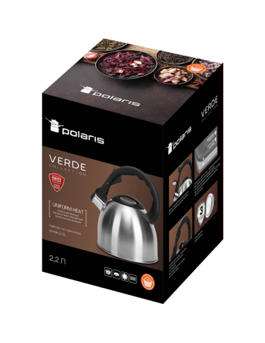 Ceainic Polaris Verde, 2,2L, Argintiu