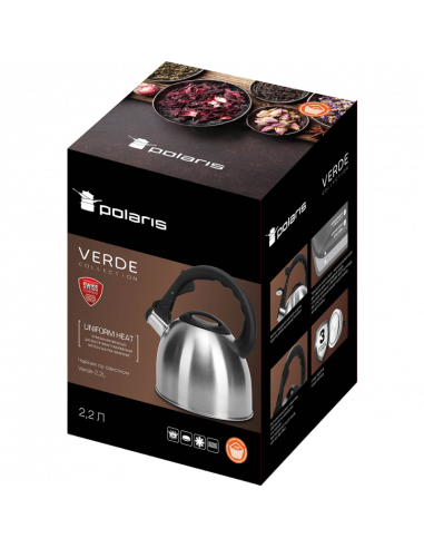 Ceainic Polaris Verde, 2,2L, Argintiu