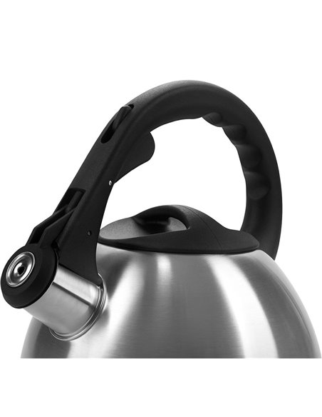 Ceainic Polaris Verde, 2,2L, Argintiu